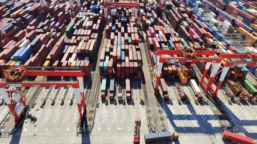 从海上起点到空中班车 上海激活跨境物流新动能——活力中国调研行